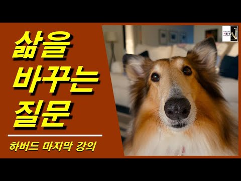 10가지 간단한 꿀팁으로 더 나은 삶을 즐기는 방법