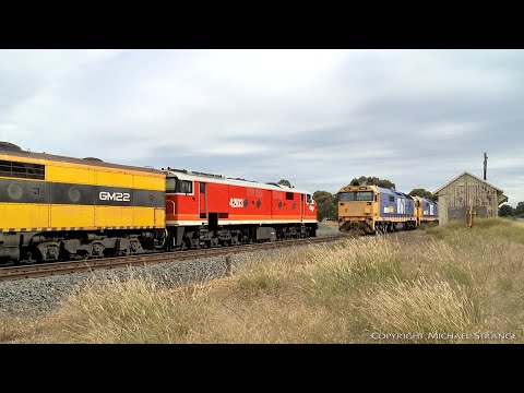7738V Grain Train Crosses 42103 & GM22 (13/4/2021) - PoathTV Australian Trains & Railways