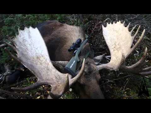 Bergara Performance Series B-14 Rifle Review