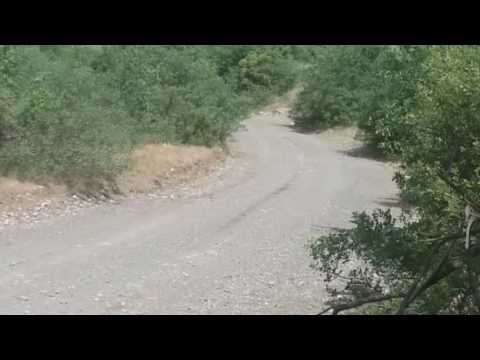 Rally Acropolis G.Augerhs - K.Andritsakis