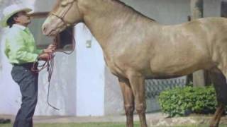 Joan Sebastian-"En Tu Sonrisa (Mariachi)