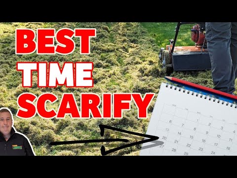 How and when should you scarify a lawn / Beginners guide