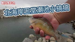 【北海岸釣魚】北海岸玉堂潮池小搞搞｜蝦皮愛釣魚