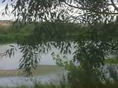 Adiós Ríos, Adiós Fontes - Amancio Prada
