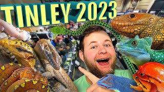 RARE REPTILES ALL OVER!!! NARBC TINLEY PARK 2023!