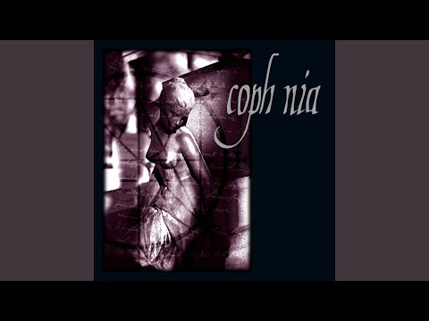 Our Lady of the Stars