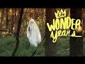 The Wonder Years - Came Out Swinging ...