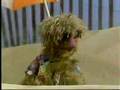 Classic Sesame Street Surfin Monsters Love The Ocean