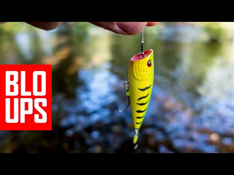 How to catch BIG Chub on topwater lures? Lure fishing tips and tricks explained in practice
