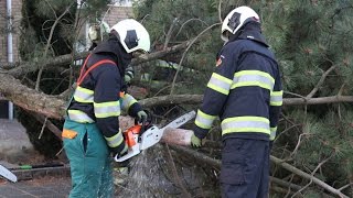 [FOTO'S & VIDEO] Boom valt op auto in Mijdrecht