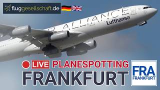 LIVE Frankfurt Airport 🇩🇪 Freitag Nachmittag An- und Abflüge vom Flughafen FRA |