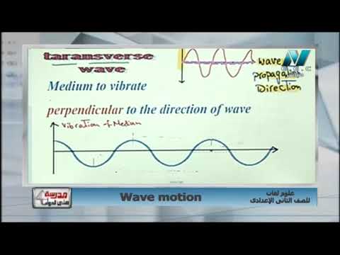 علوم لغات 2 إعدادي حلقة 3 ( Wave motion ) أ محمد محمود 21-02-2019