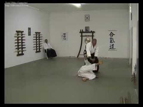 Aikido iwama floridia hagakure - irimi nage