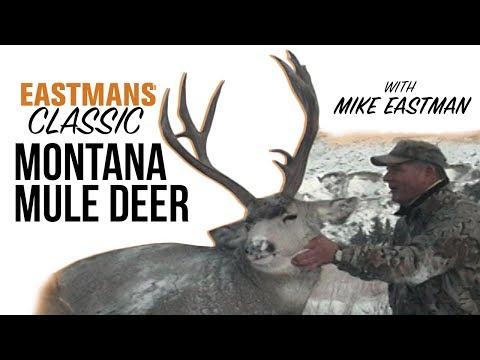 Jagd auf Maultierhirsche in der Brunftzeit! mit Mike Eastman (Eastmans' Classic Hunting)