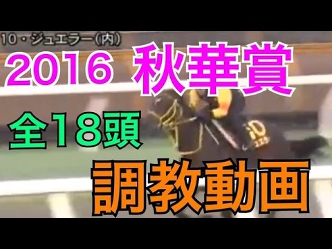 [競馬]2016 秋華賞 ☆全18頭 調教動画☆