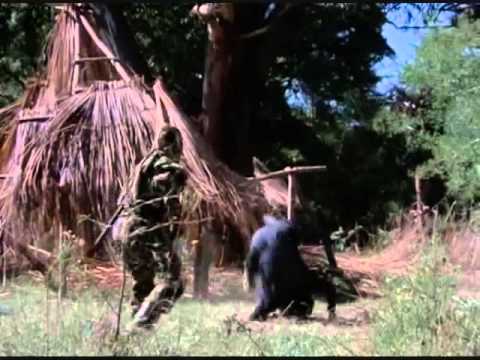 Sho Kosugi vs Ninja Soldiers