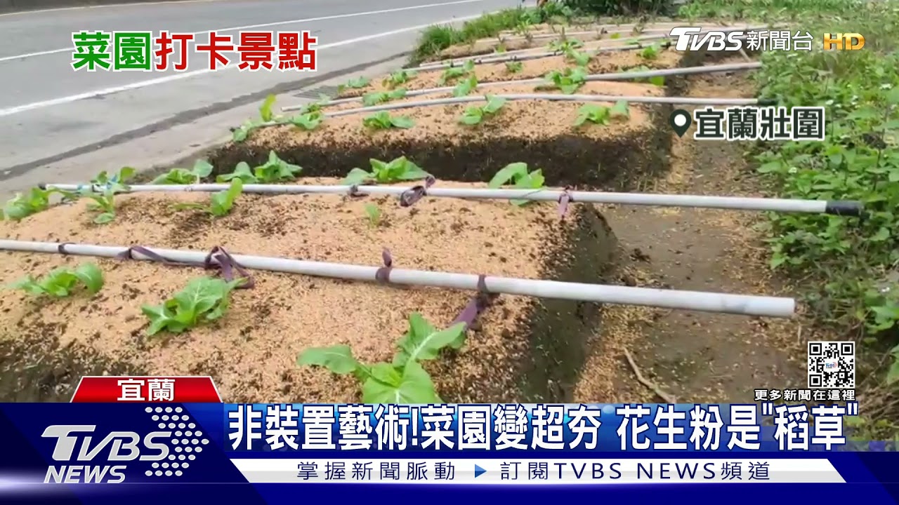 好餓...宜蘭鄉間驚見「巨型米血糕」 網笑翻:想加辣!
