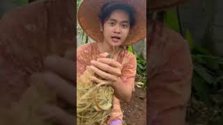 Download lagu Found a rare baby bird, what do you think it eats, poor thing #babybird mp3 Download lagu Found a rare baby bird, what do you think it eats, poor thing #babybird mp3