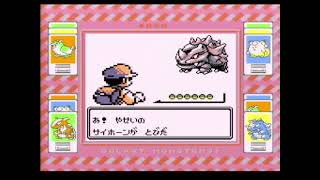 【ポケットモンスター赤】セキチクシティ散策～サファリゾーン散策まで【Part12】