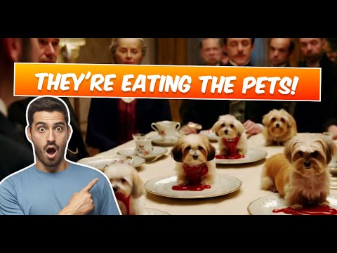 They're Eating the Dogs & Cats [Music Video]