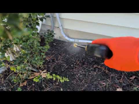 Treating for Ants Around the Exterior in West Windsor, NJ