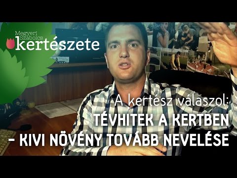 A kertész válaszol: tévhitek a kertben -  kivi növény tovább nevelése?