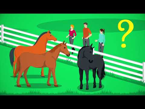 Was bringt BestTUPferd?