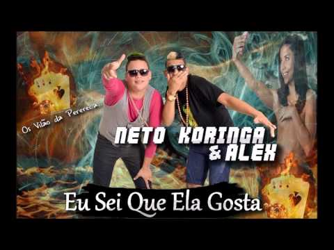 NETOKORINGA E ALEX - EU SEI QUE ELA GOSTA - MÚSICA NOVA 2016
