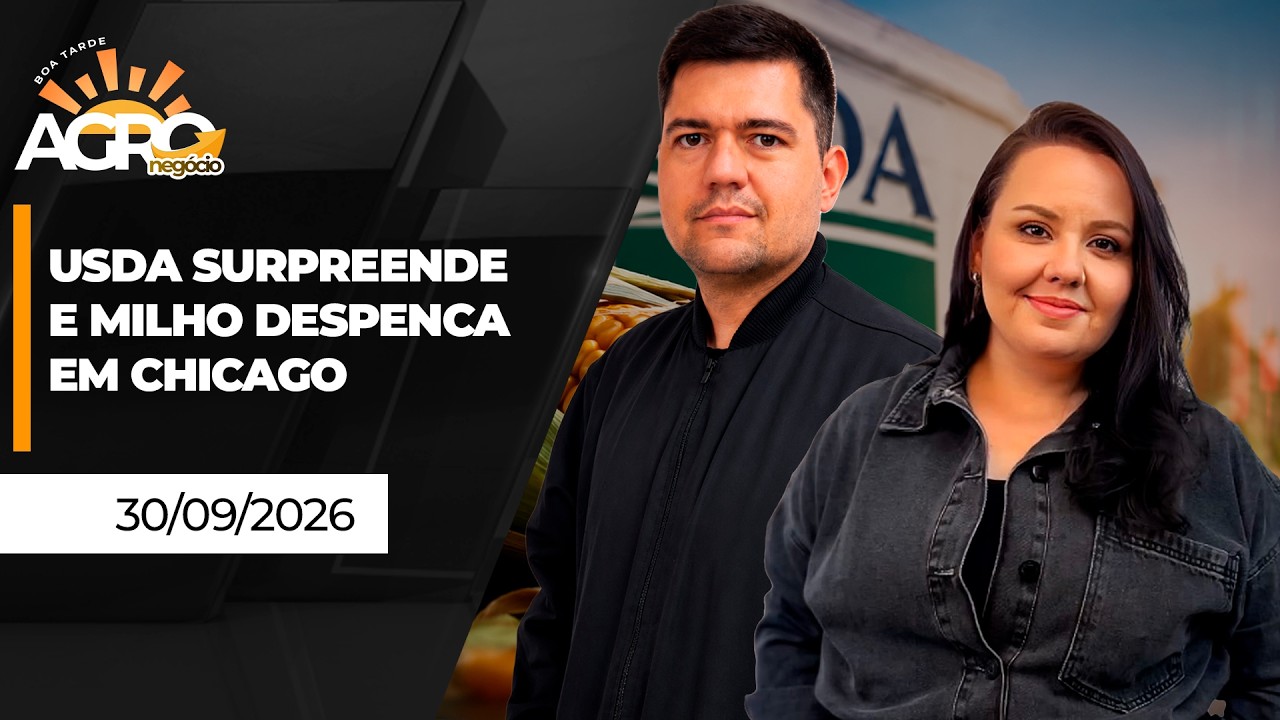 BOA TARDE AGRO - USDA surpreende e milho despenca em Chicago