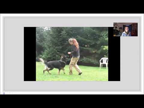 FDSA Workshop: Shade Whitesel — Games and Skills for Left Turns in Heeling