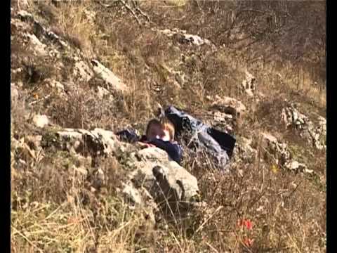 Minunatele povestiri ale navetistului banatean - Crivina