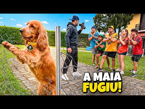 A NOSSA CACHORRINHA DA LIGA MISTÉRIO SUMIU! *encontramos?