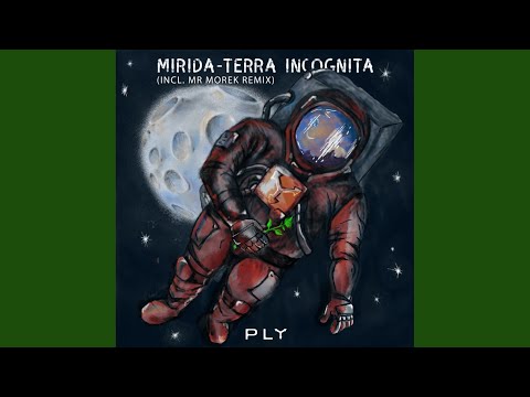 Terra Incognita (Mr Morek Remix)