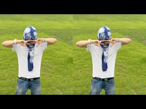 skn - said so (music video)