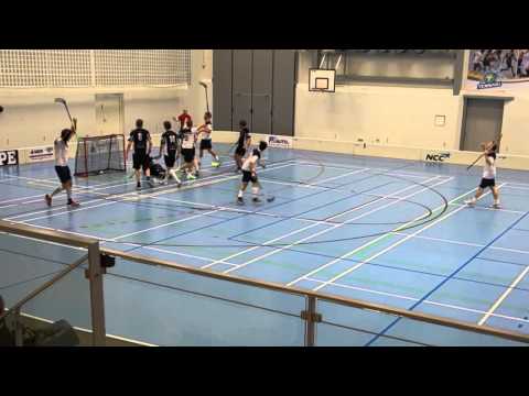 SCRR II - HöySä Maalikooste