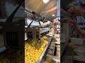 10KG Mountain Of Belgian Fries In Belgium