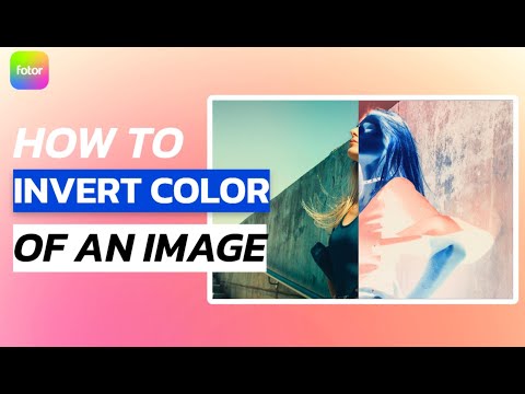 Color Inverter: Invert Image Colors & Create Negative Images | Fotor