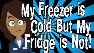 My Freezer Is Cold but My Fridge Is Not