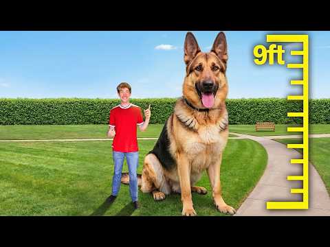 I Found The Worlds Most Talented Animals!