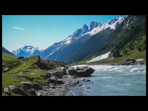 The Natural beauty in the World.🖼️🌍ll@abdulalim1519