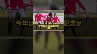 なぜ桜花賞馬は15戦3勝のまま新潟記念に出るのか ステレンボッシュ #Shorts