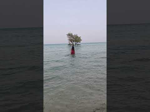 Mohini walking on water #trending #ghost #ghoststories