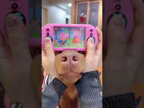 P216-The most viewed YouTube videos of all Time #hkl#short