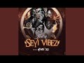 Best of Seyi Vibez Mix