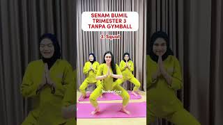 Download lagu Senam Ibu Hamil Trimester 3 tanpa Gymball #skincarebumil #ibuhamil  #skincare mp3