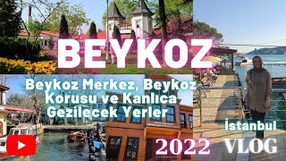 Beykoz Gezilecek Yerler Vlog 2022-Beykoz Korusu, Kanlıca#gezivlog#beykoz#kanlıca