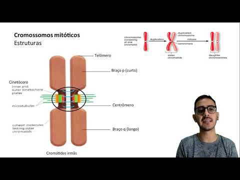 (Biologia) Sapientia - DNA e Cromossomos (Ensino Superior)