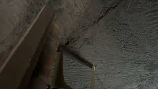 Today i make a big vlog with my feelings 🥰