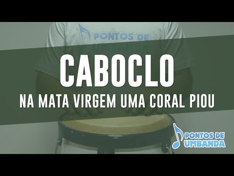 Capa do vídeo: Na mata virgem uma coral piou