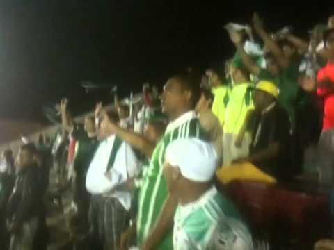 Torcida do Palmeiras 11/06/2013 Palmeiras 2 x 0 America RN